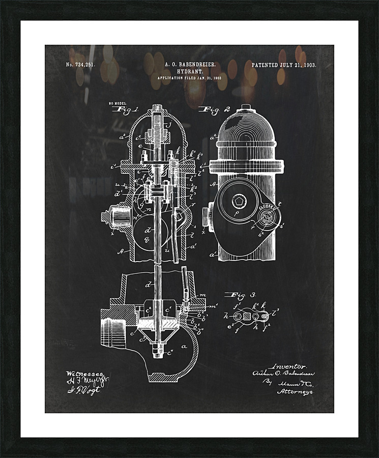 5994 Hydrant patent Picture Frame print