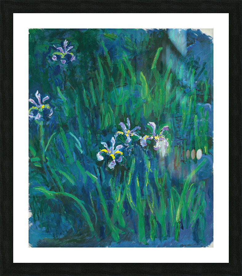 8356 Claude Monet  iris Picture Frame print