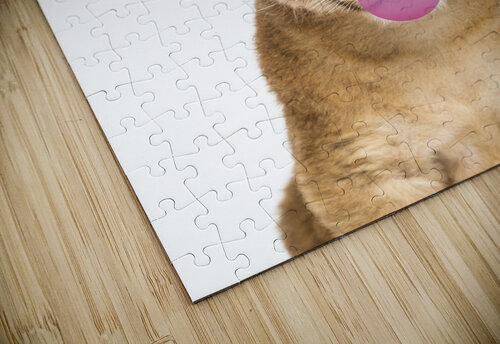 lion gum artvi puzzle