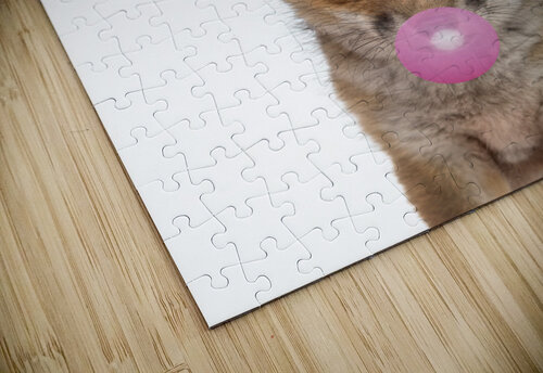fox gum artvi puzzle