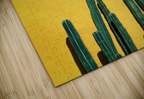 cactus II artvi puzzle