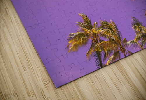 miami artvi puzzle