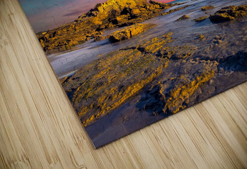 visions artvi puzzle