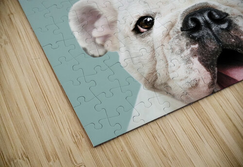 halftone dog artvi puzzle