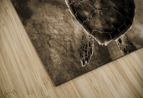 Turtle artvi puzzle