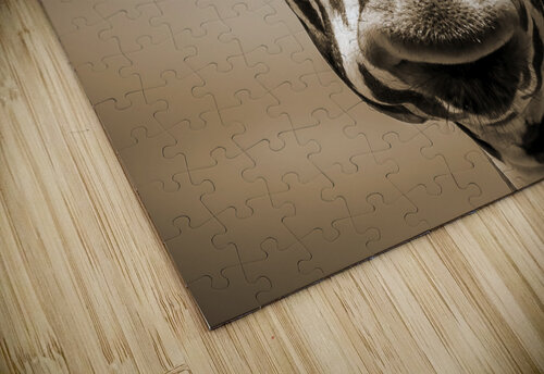 giraffe artvi puzzle