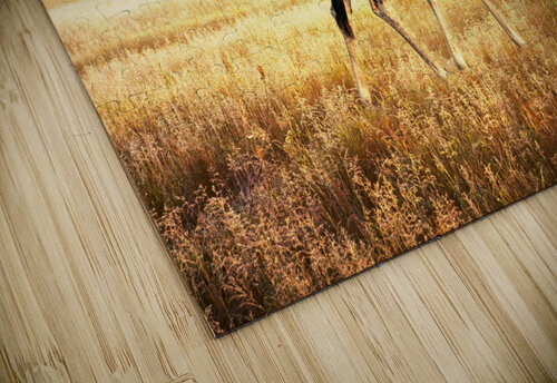  giraffe  artvi puzzle