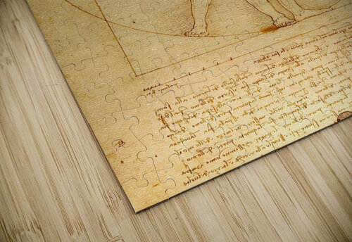leonardo da vinci artvi puzzle