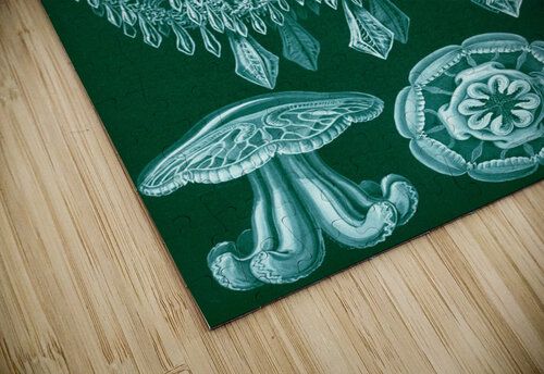 ernst haeckel artvi puzzle