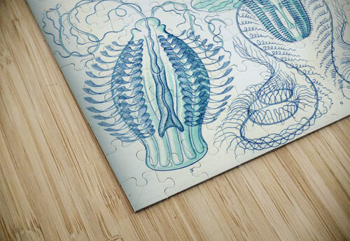 ernst haeckel artvi puzzle