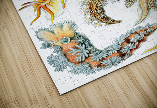 ernst haeckel artvi puzzle
