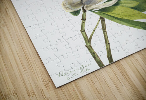 2520 william morris artvi puzzle