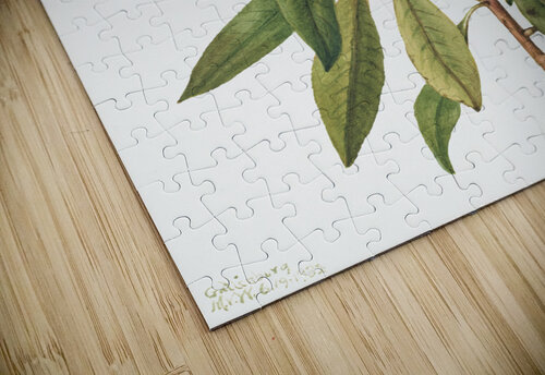 2527 william morris artvi puzzle