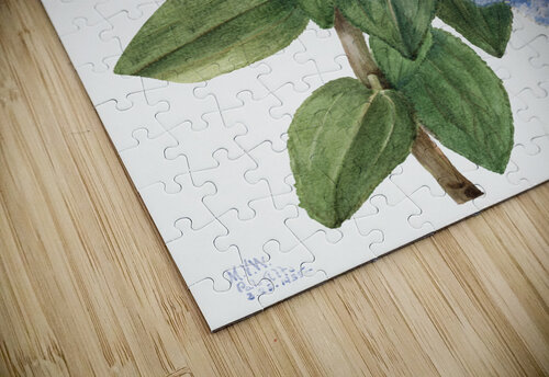 2530 william morris artvi puzzle