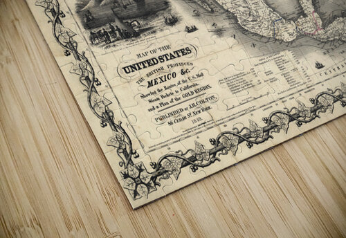 5161 United States 1849 artvi puzzle