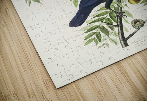25  John James Audubon 34 artvi puzzle