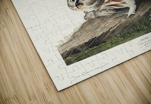 25  John James Audubon 113 artvi puzzle