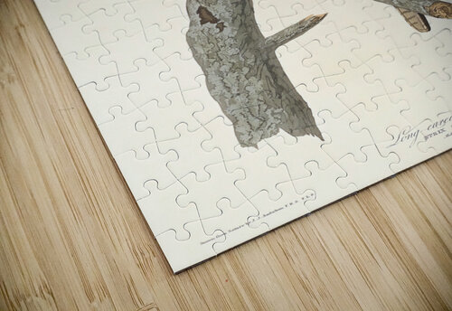 5955 John James Audubon  48 artvi puzzle
