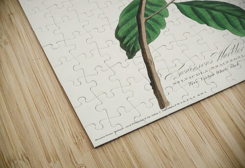 6182 John James Audubon  21 artvi puzzle