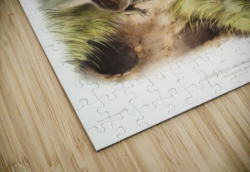 6182 John James Audubon  61 artvi puzzle