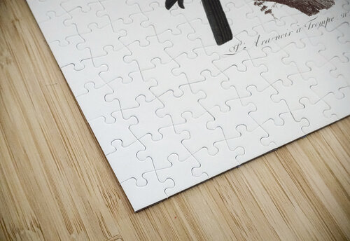 6330 Parrot 1 artvi puzzle