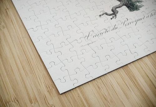 6330 Parrot 4 artvi puzzle
