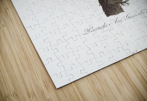6330 Parrot 3 artvi puzzle