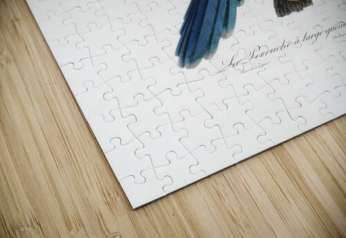 6470 Parrot artvi puzzle