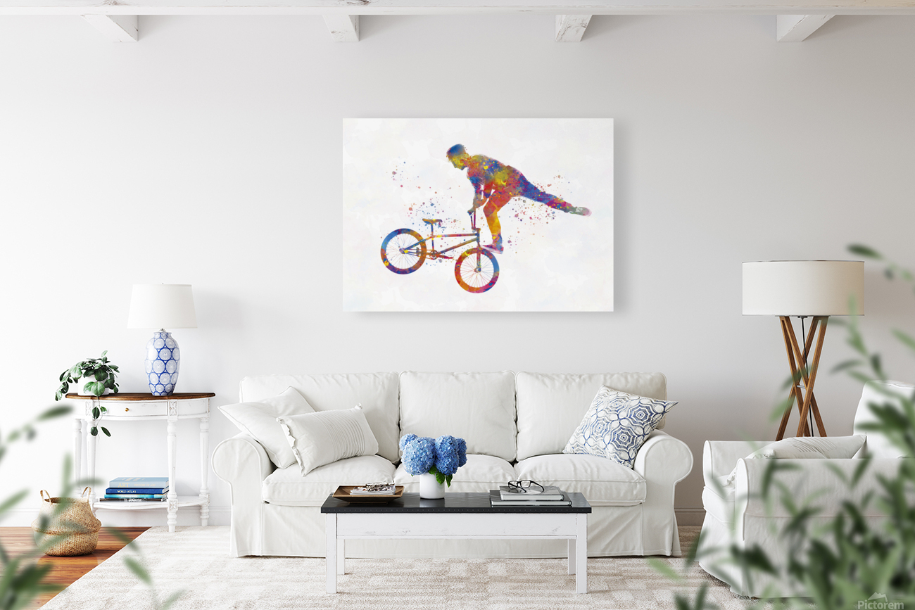 bmx-bike Reproduction