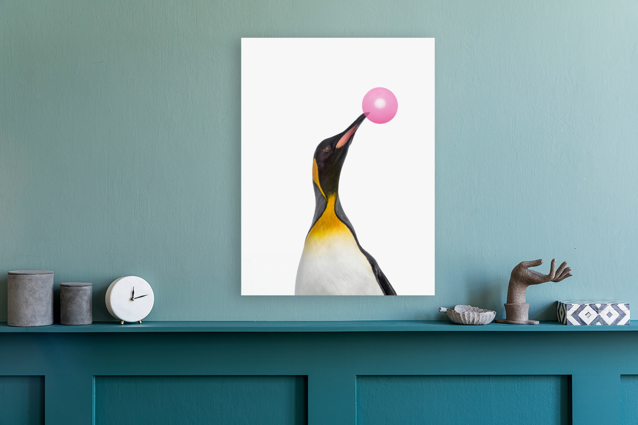 penguin gum Reproduction