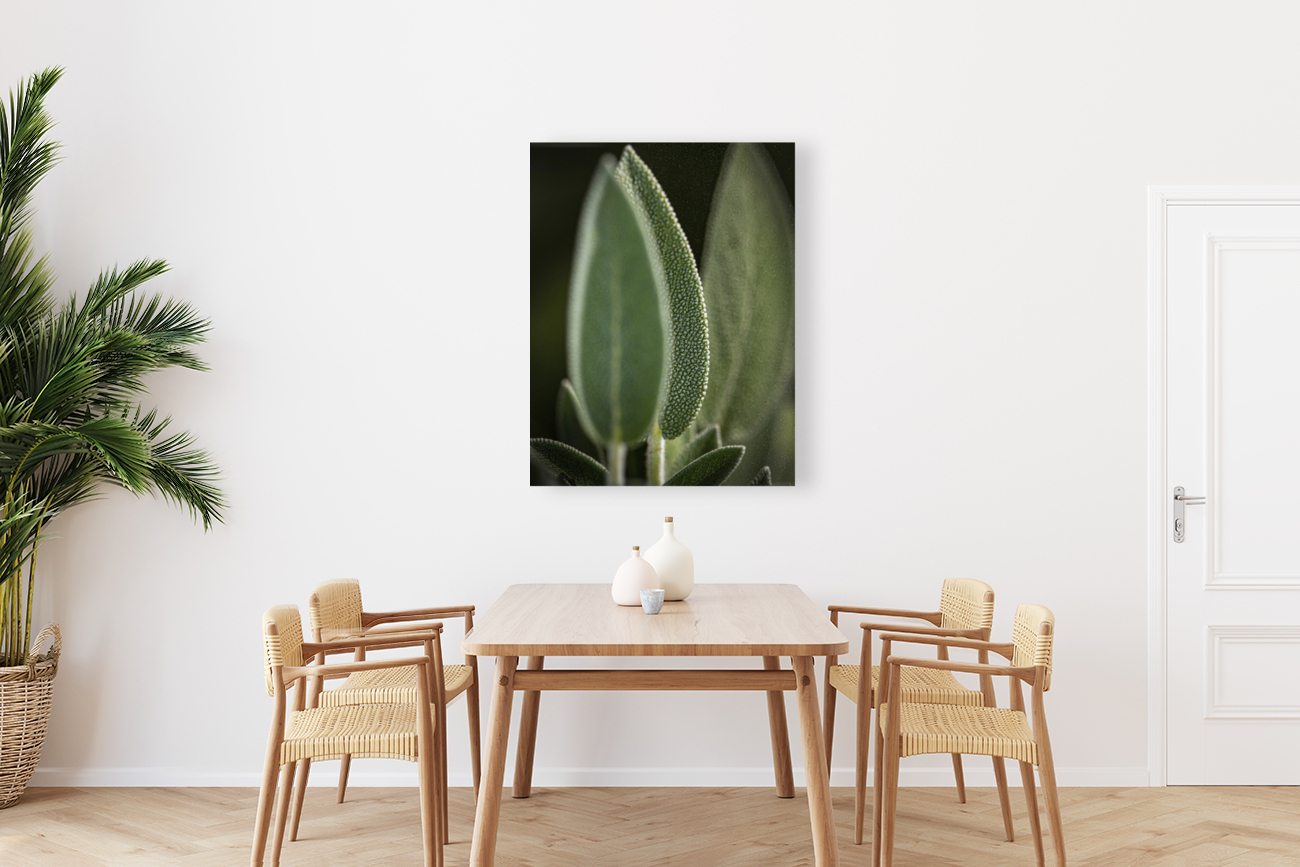 Microplant Reproduction
