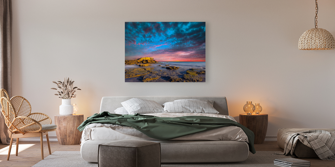 visions Reproduction
