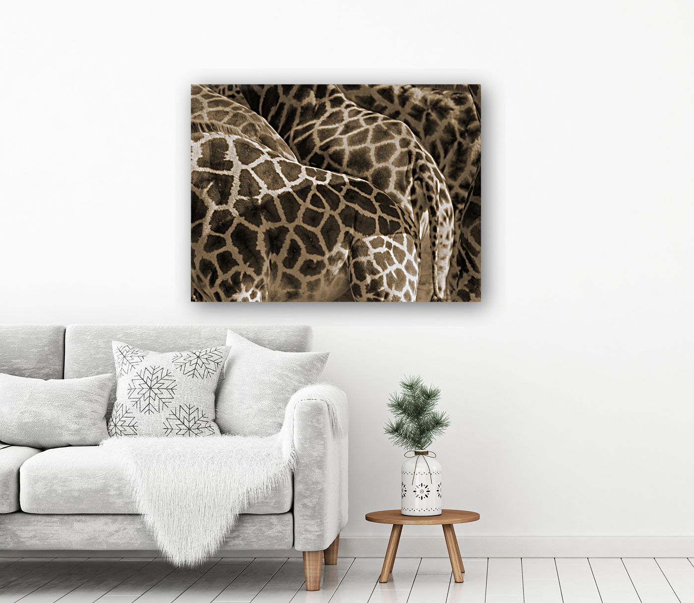 Giraffe Reproduction