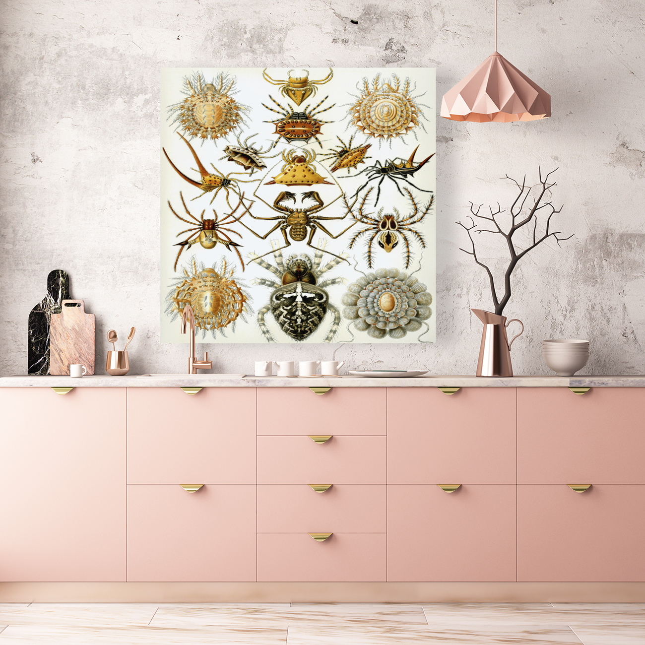 ernst haeckel illustrations Reproduction