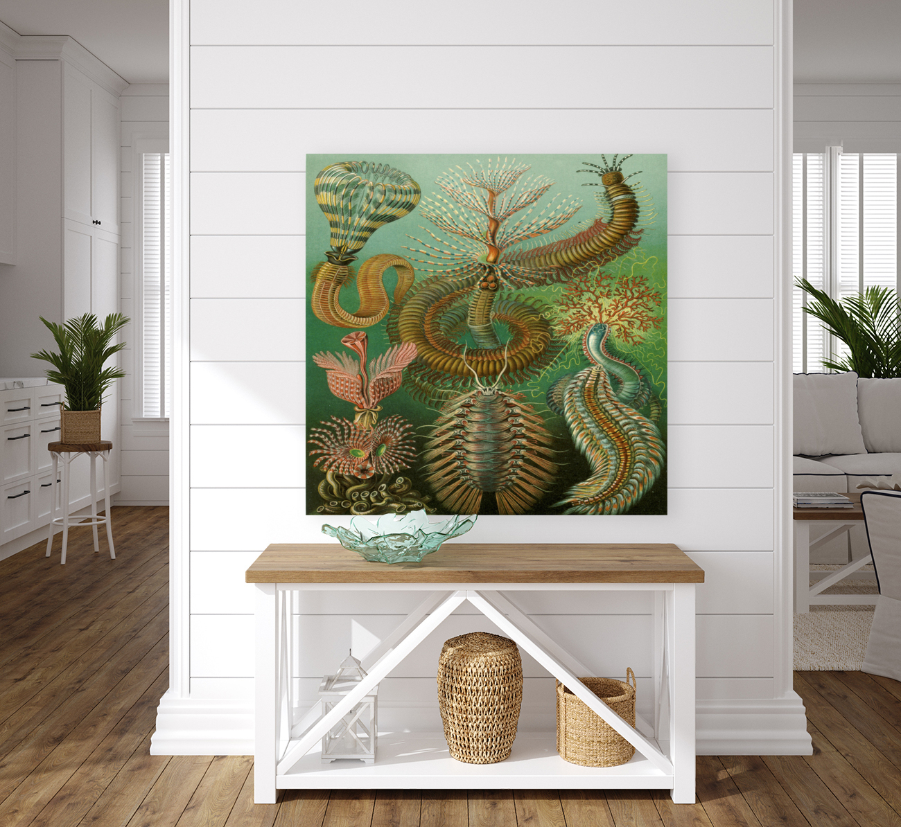 ernst haeckel illustrations Reproduction