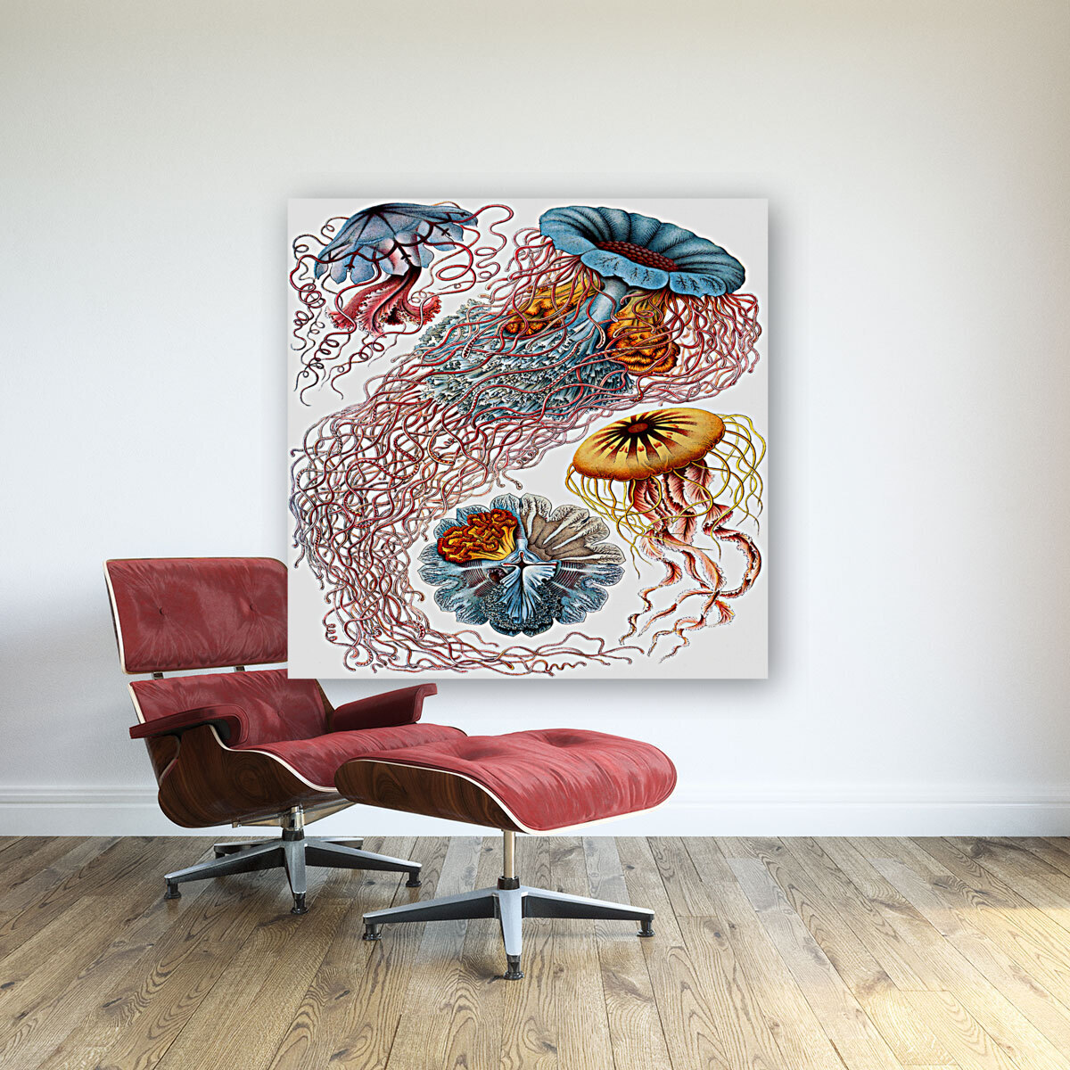 ernst haeckel illustrations Reproduction