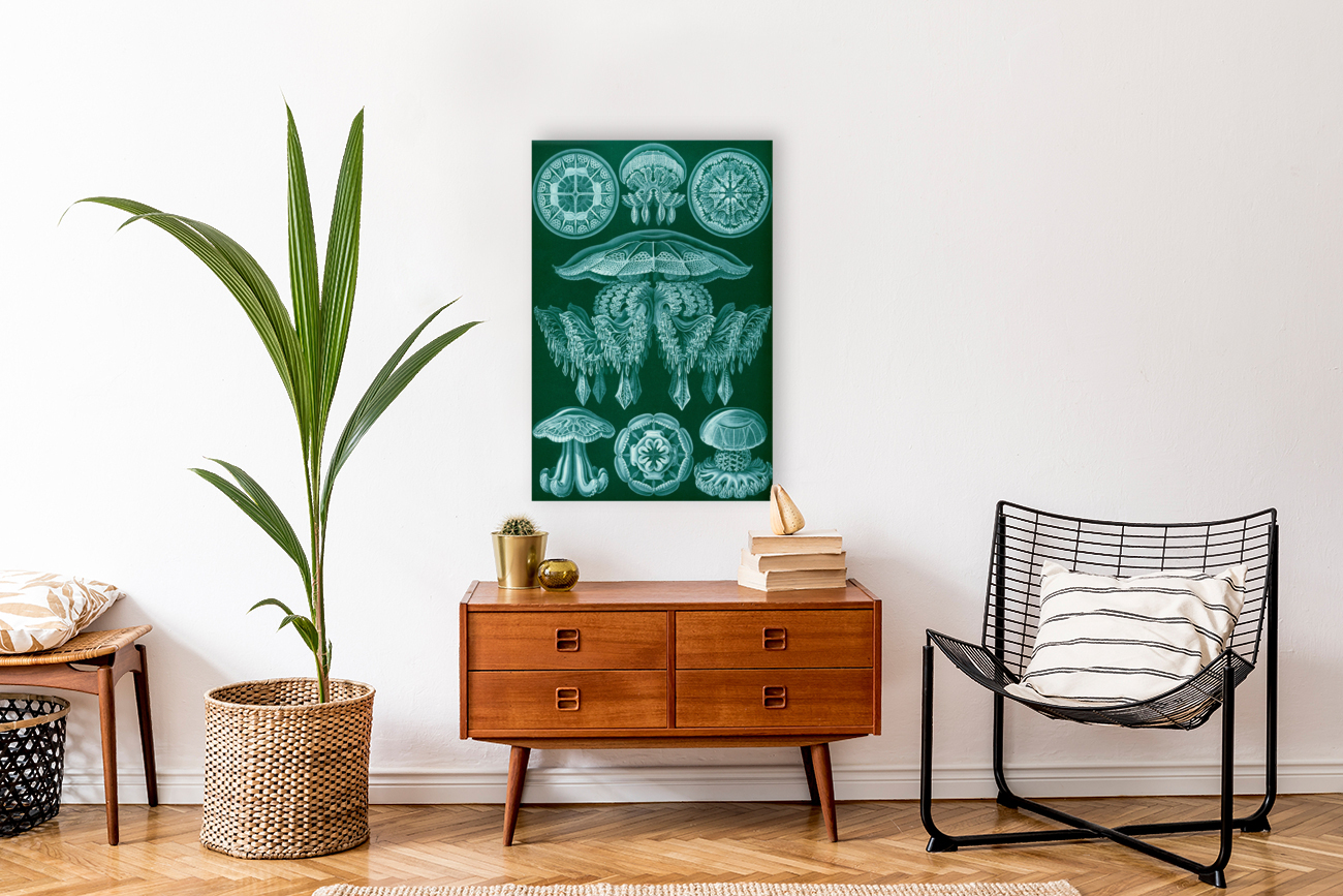 ernst haeckel Reproduction