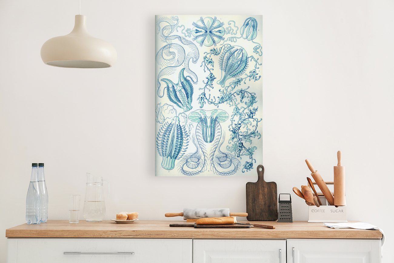 ernst haeckel Reproduction