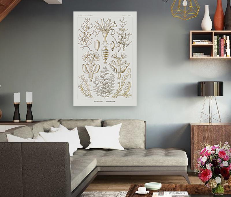 ernst haeckel Reproduction
