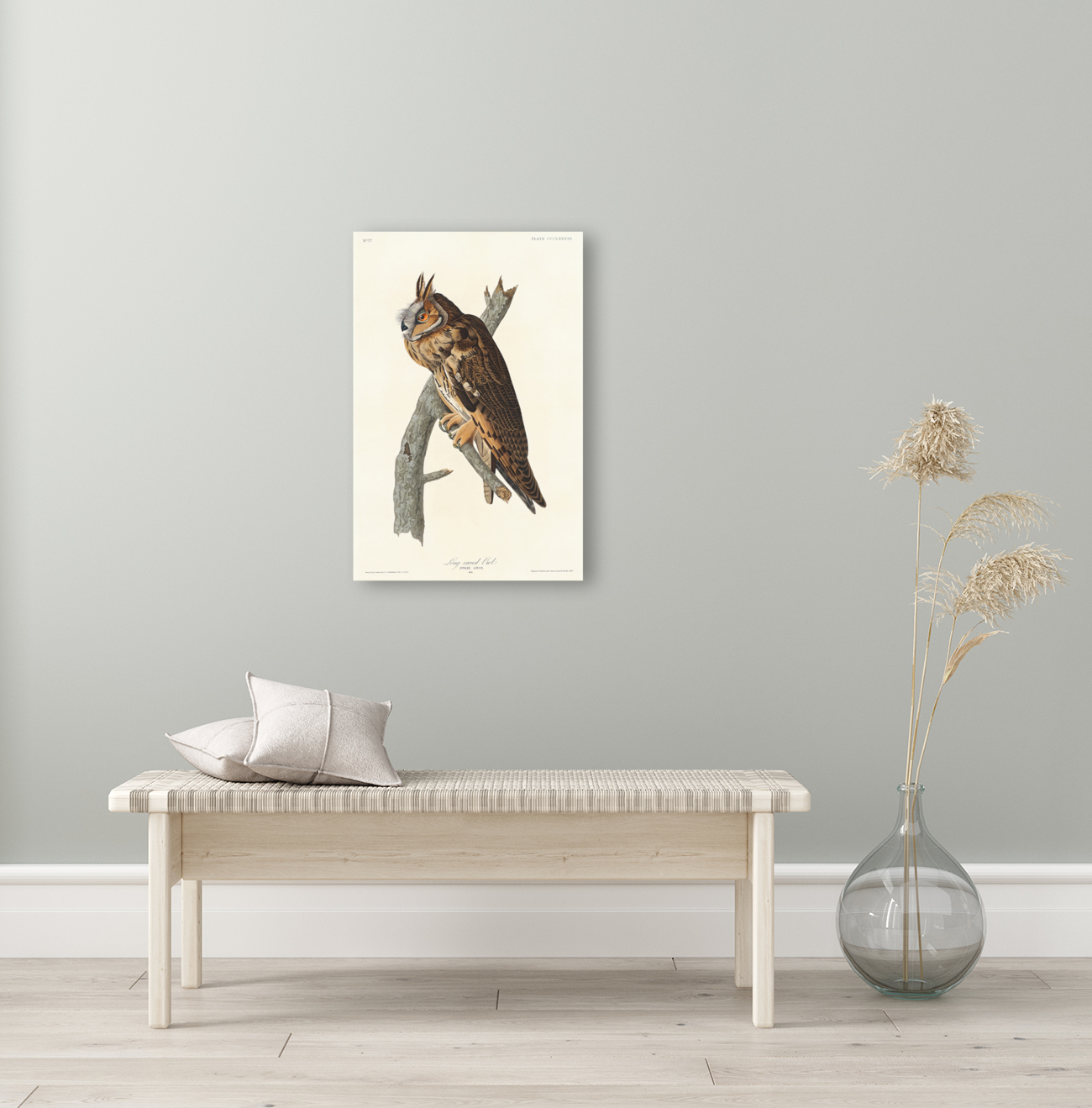 5955 John James Audubon  48 Reproduction