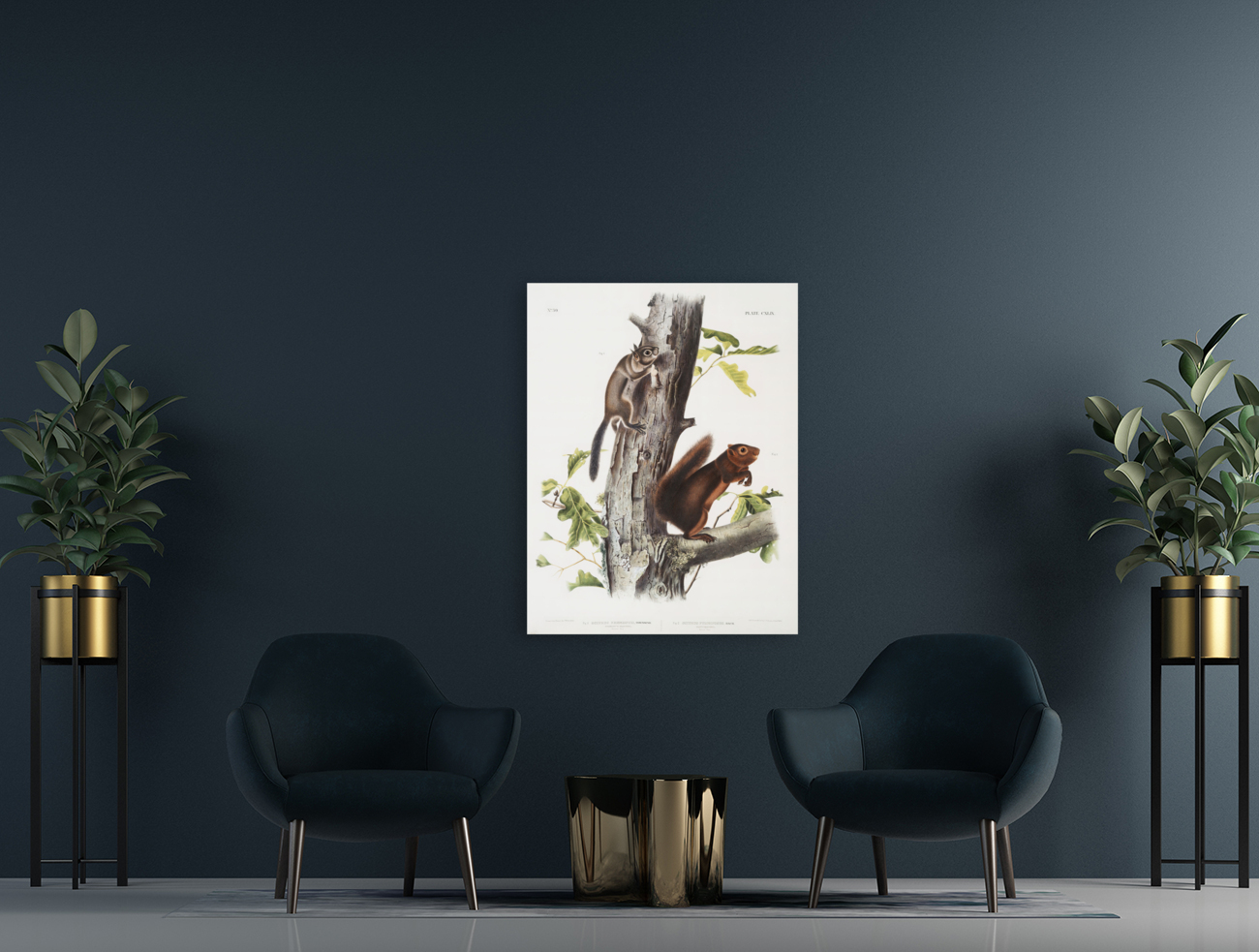 5955 John James Audubon  80 Reproduction