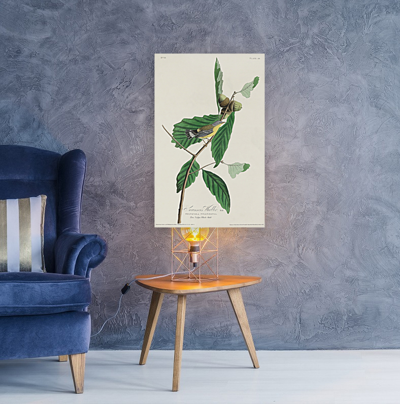 6182 John James Audubon  21 Reproduction