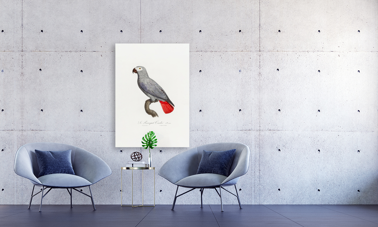 6330 Parrot 2 Reproduction