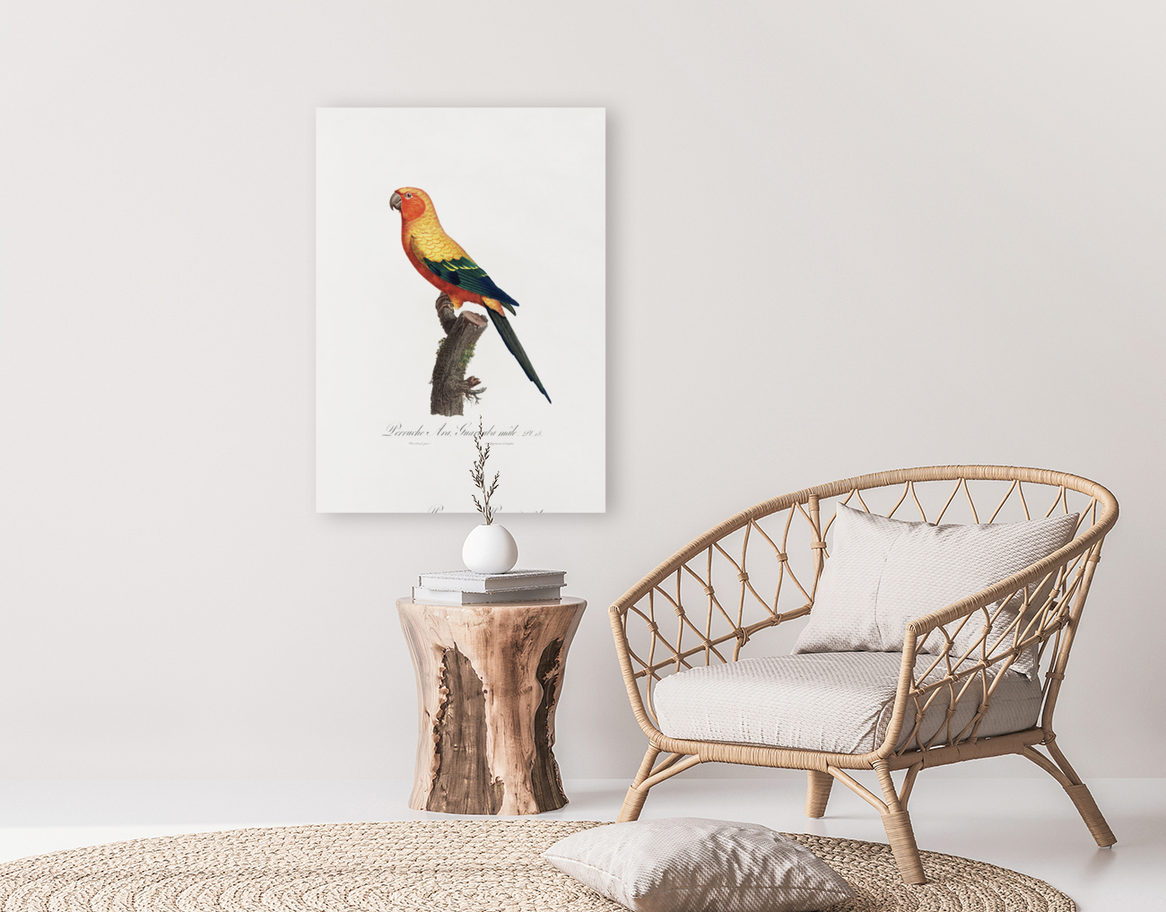 6330 Parrot 3 Reproduction