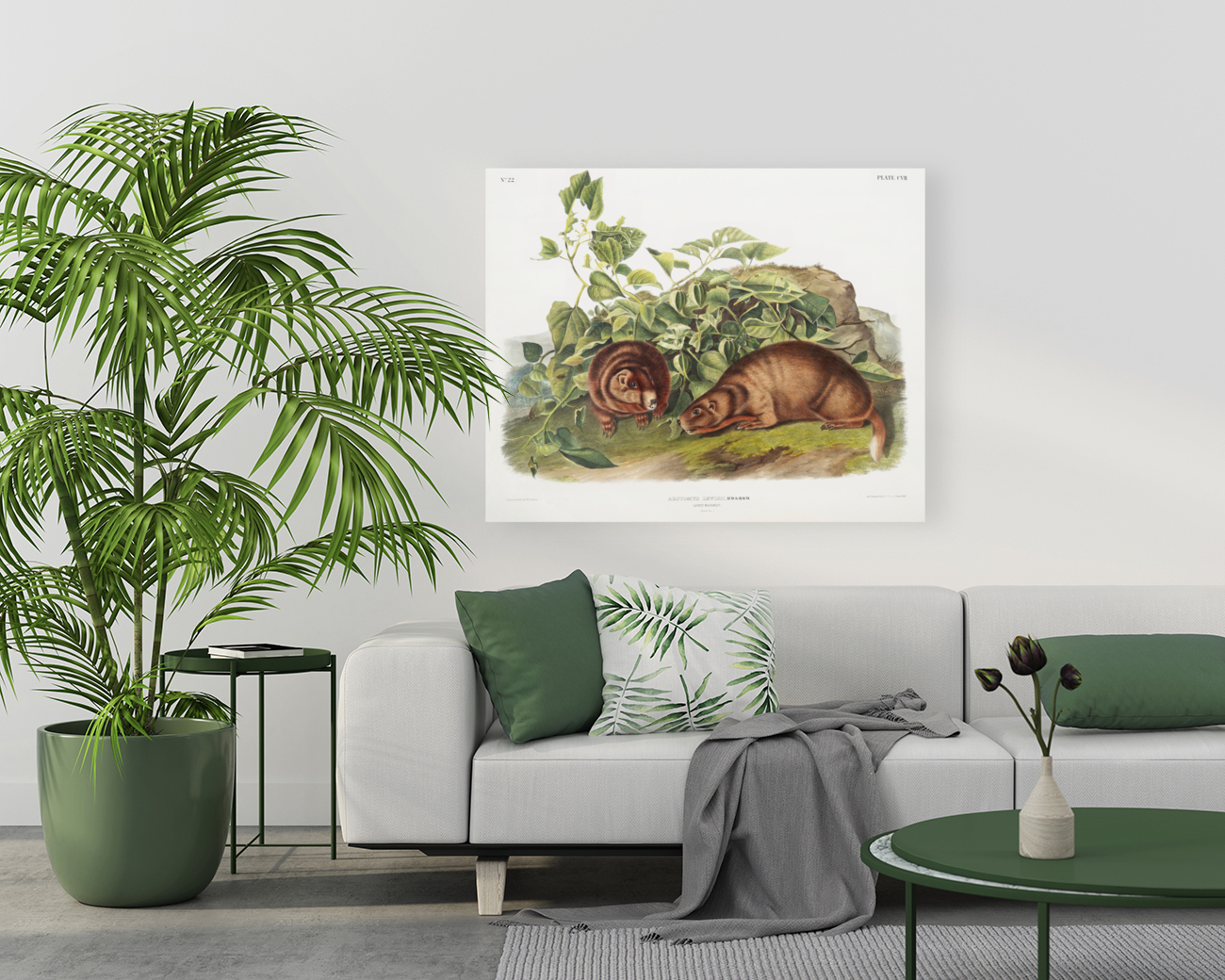 John James Audubon 6 Reproduction