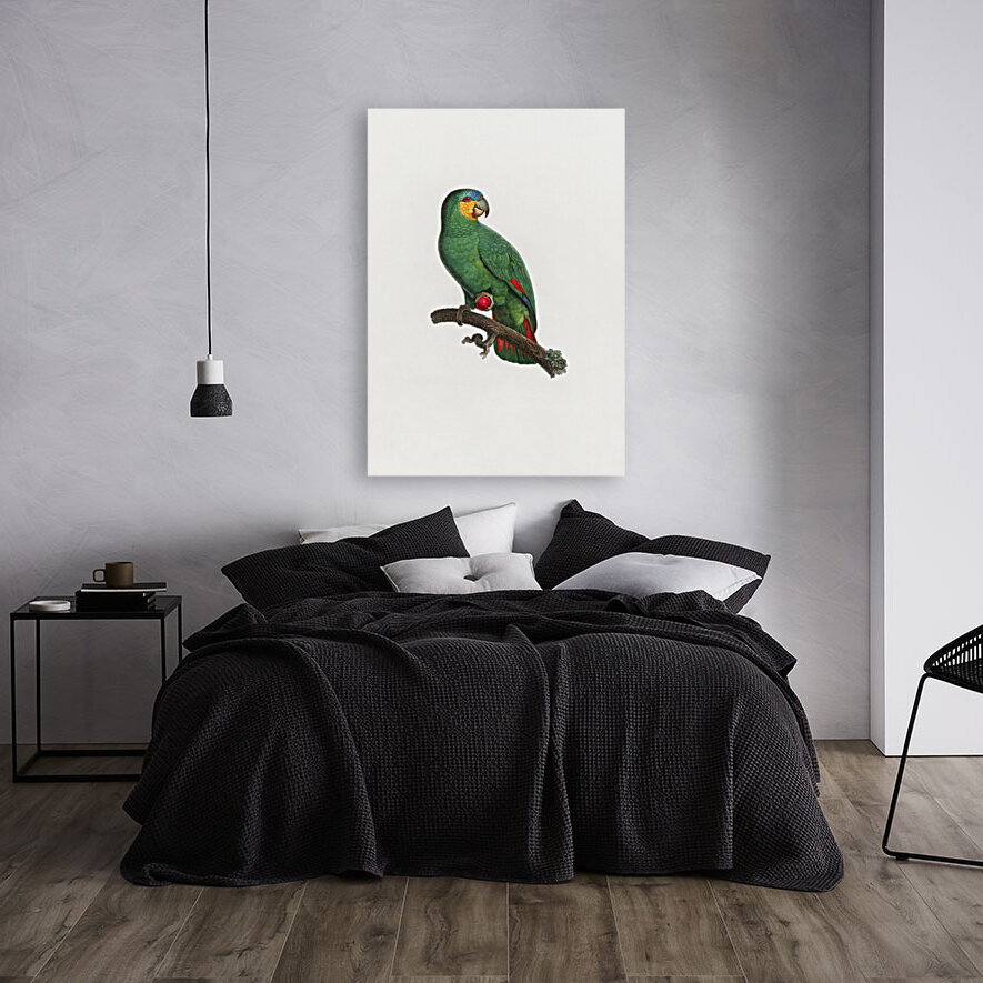 6365 Parrot Reproduction