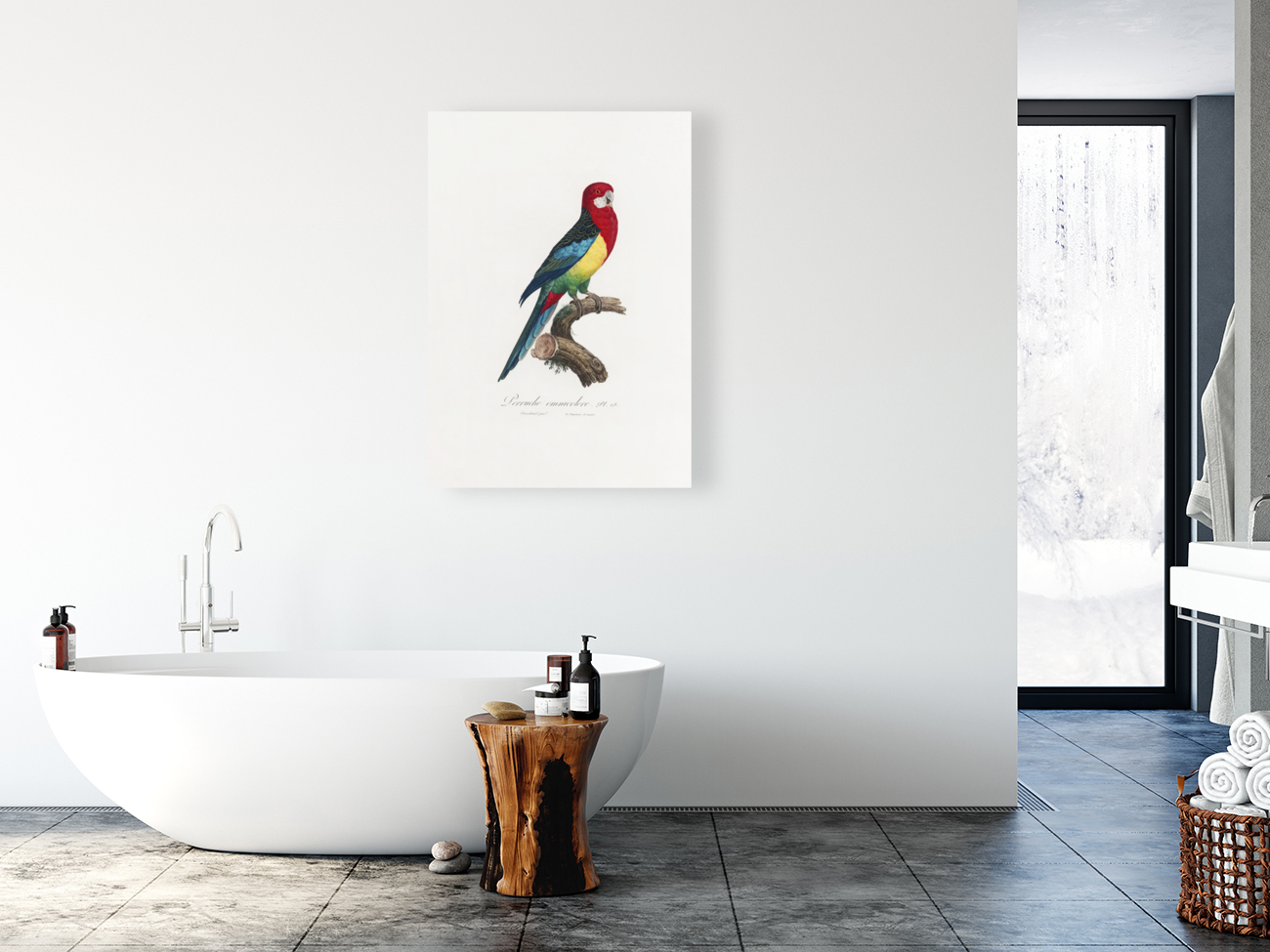6478 Parrot Reproduction