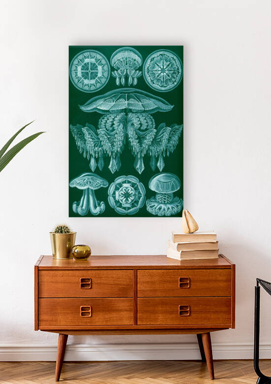 ernst haeckel by artvi