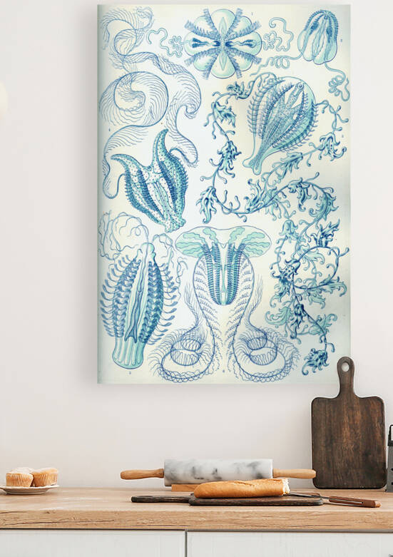 ernst haeckel by artvi