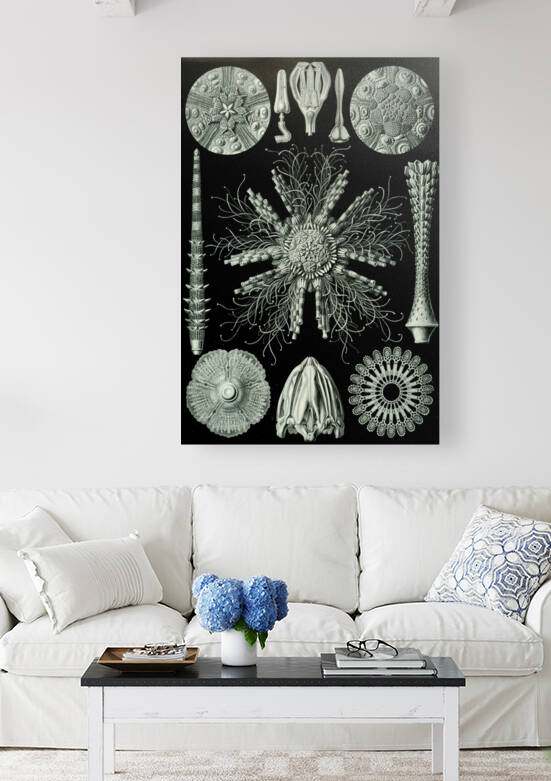 ernst haeckel by artvi